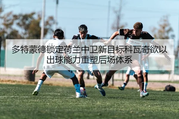 img_1784027932452_188_1_498.jpg